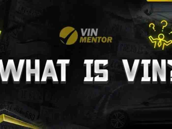 What is STAT 1 VIN and how does it work?